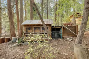 13361 Red Dog Rd, Nevada City, CA 95959 - Photo 11