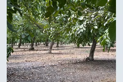 19441 Milton Road, Oakdale, CA 95361 - Photo 23