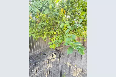 2046 Porter Way, Stockton, CA 95207 - Photo 47