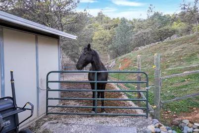 9830 Deer Hollow Trail, Browns Valley, CA 95918 - Photo 55