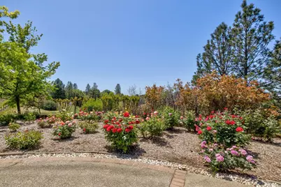 13320 Oakstream Road, Plymouth, CA 95669 - Photo 55