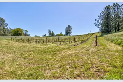 13320 Oakstream Road, Plymouth, CA 95669 - Photo 69