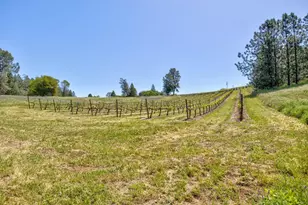 13320 Oakstream Rd, Plymouth, CA 95669 - Photo 69