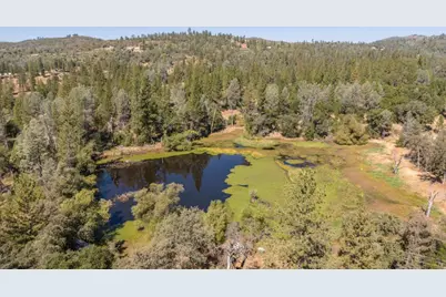 9040 Sheep Ranch Road, Mountain Ranch, CA 95246 - Photo 25