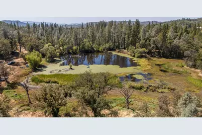 9040 Sheep Ranch Road, Mountain Ranch, CA 95246 - Photo 53