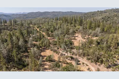 9040 Sheep Ranch Road, Mountain Ranch, CA 95246 - Photo 39