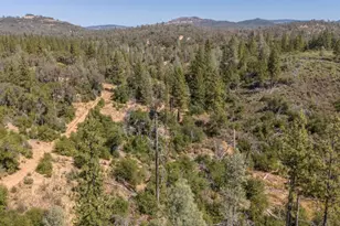 9040 Sheep Ranch Rd, Mountain Ranch, CA 95246 - Photo 45