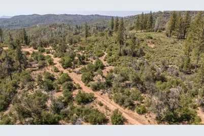 9040 Sheep Ranch Road, Mountain Ranch, CA 95246 - Photo 47