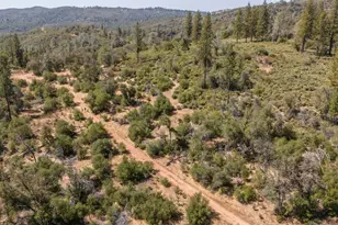 9040 Sheep Ranch Rd, Mountain Ranch, CA 95246 - Photo 47