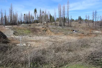 4944 Deerwood Drive, Grizzly Flats, CA 95636 - Photo 7