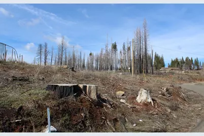 4944 Deerwood Drive, Grizzly Flats, CA 95636 - Photo 15