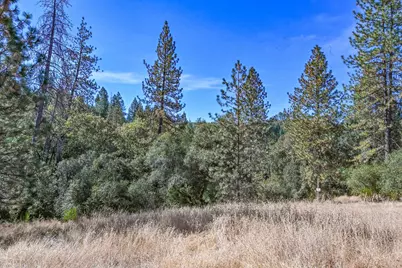 4644 State Highway 193, Greenwood, CA 95635 - Photo 37