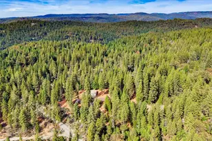 17201 Old Mill Rd, Nevada City, CA 95959 - Photo 53