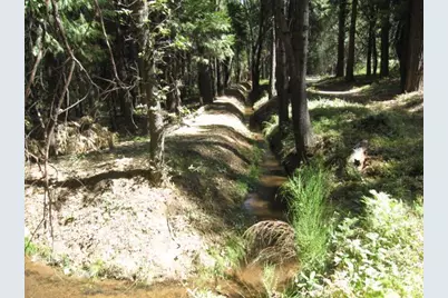 11199 Golden Oaks Court, Nevada City, CA 95959 - Photo 9