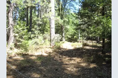 11199 Golden Oaks Court, Nevada City, CA 95959 - Photo 5