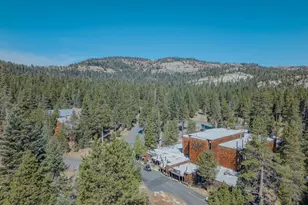 251 Bear Valley Rd, Bear Valley, CA 95223 - Photo 35