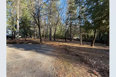75 Sandy Gulch Lane, West Point, CA 95255 - Photo 39