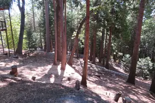 3281 Mountain Lake Dr, Pollock Pines, CA 95726 - Photo 55