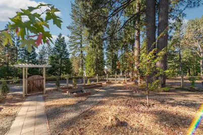 19581 Mella Drive, Volcano, CA 95689 - Photo 27