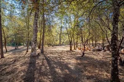 2460 Walgra Meadows Circle, Meadow Vista, CA 95722 - Photo 49