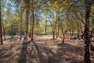 2460 Walgra Meadows Cir, Meadow Vista, CA 95722 - Photo 49
