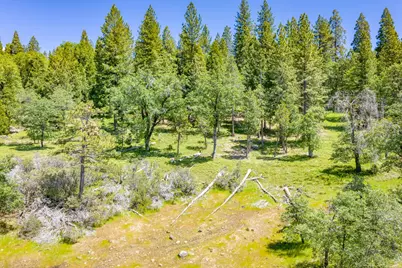 6420 Starkes Grade Road, Pollock Pines, CA 95726 - Photo 35