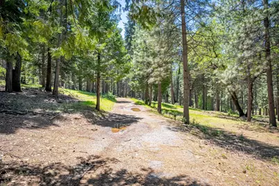 6420 Starkes Grade Road, Pollock Pines, CA 95726 - Photo 53