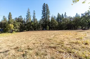 4830 Somerset Loop, Placerville, CA 95667 - Photo 41
