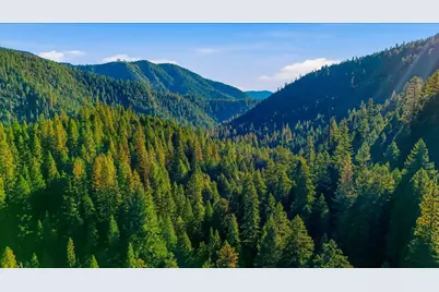 200 Craycroft Ridge Road, Downieville, CA 95936 - Photo 39