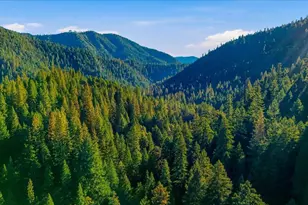 200 Craycroft Ridge Rd, Downieville, CA 95936 - Photo 39