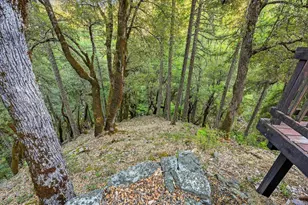 200 Craycroft Ridge Rd, Downieville, CA 95936 - Photo 53