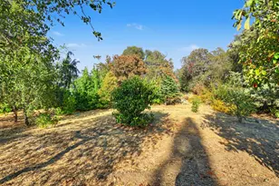 6000 Gold Hill Rd, Placerville, CA 95667 - Photo 45