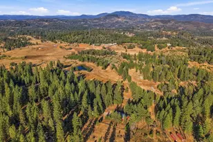 19526 Shawnee Trail, Mokelumne Hill, CA 95245 - Photo 83