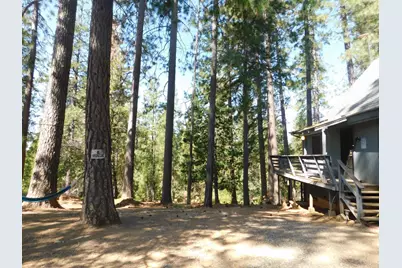 2839 Lily Gap Road, West Point, CA 95255 - Photo 3