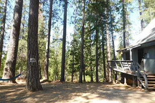 2839 Lily Gap Rd, West Point, CA 95255 - Photo 3