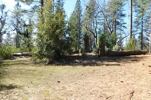 2839 Lily Gap Rd, West Point, CA 95255 - Photo 43