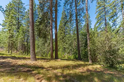 2839 Lily Gap Road, West Point, CA 95255 - Photo 45