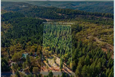 39445 Kearsarge Mill Road, Alta, CA 95701 - Photo 7
