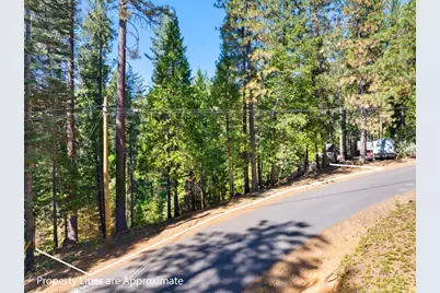 2785 Murphys Drive, Arnold, CA 95223 - Photo 3
