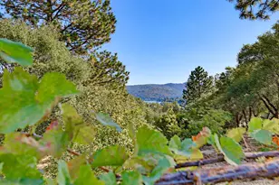 20694 Wildwood W Dr, Penn Valley, CA 95946 - Photo 7