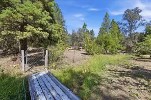22858 Pleasant Valley Rd, North San Juan, CA 95960 - Photo 39
