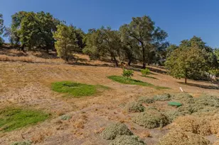 4611 Roadrunner Dr, Ione, CA 95640 - Photo 5