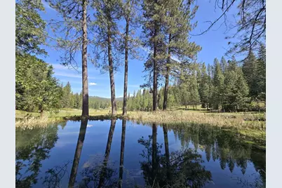 1273 Blagen Road, Arnold, CA 95223 - Photo 1