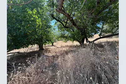 3280 Murphys Grade Road, Murphys, CA 95247 - Photo 47