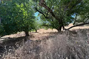 3280 Murphys Grade Rd, Murphys, CA 95247 - Photo 47