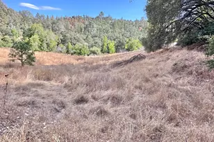 3280 Murphys Grade Rd, Murphys, CA 95247 - Photo 55