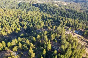 5486 Manx Rd, Pollock Pines, CA 95726 - Photo 27