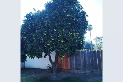 1540 Teresa Street, Modesto, CA 95350 - Photo 29