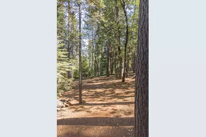 2469 Grenoble Court, Arnold, CA 95223 - Photo 41