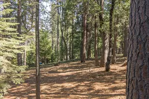 2469 Grenoble Ct, Arnold, CA 95223 - Photo 41